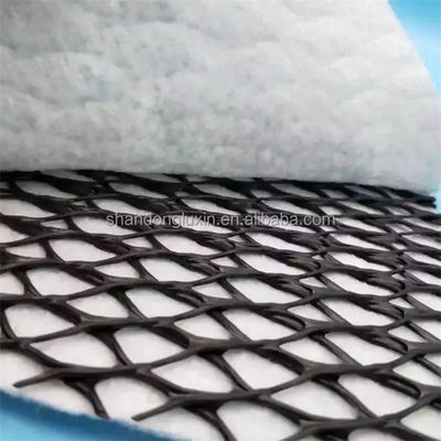 50m/100m Larga malla HDPE 3D de drenaje compuesto compuesto geo red en blanco negro