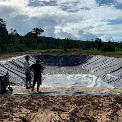 1Geomembrana de HDPE de 0,0 mm para estanques de pescado Ancho 1-6m Geomembrana negra resistente a productos químicos
