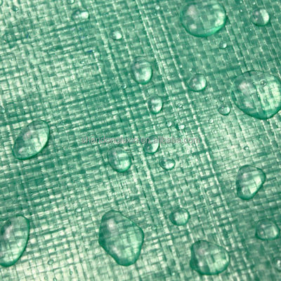 Densidad personalizada 6*6-16*16 PE cubierta de lona para camiones 100% resistente al agua verde