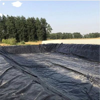 Geomembrana EVA de polietileno de alta densidad negro para tanques de almacenamiento de agua agrícola