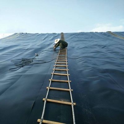 ASTM GRI-GM13 Geomembrana de HDPE estándar de 1 mm para aplicaciones en estanques de pescado y vertederos