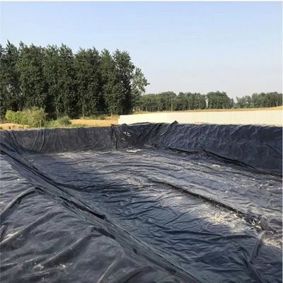 1.0mm Geomembrana HDPE para lago artificial Solución de diseño gráfico de superficie doble lisa