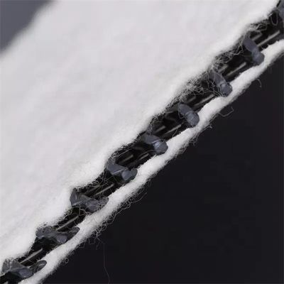 50m/100m/ longitud Geonet de drenaje compuesto 3D para protección de pendientes Estilo de diseño industrial