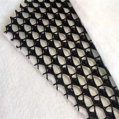 50m/100m/ longitud Geonet de drenaje compuesto 3D para protección de pendientes Estilo de diseño industrial