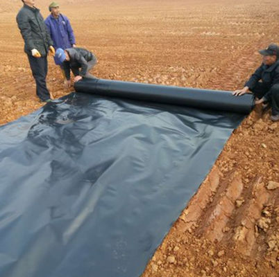 Capacidad de solución del proyecto Geomembrana de HDPE para piscifactorías