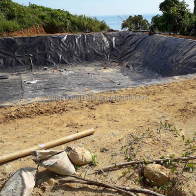 Capacidad de solución del proyecto Geomembrana de HDPE para piscifactorías