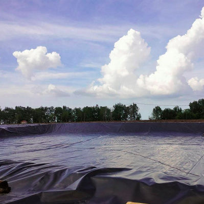 Geomembrana de HDPE estándar ASTM GRI-GM13 para el revestimiento de estanques de piscifactorías de sal