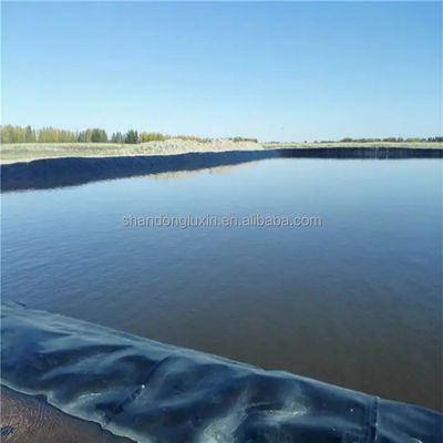 10 años de vida útil Revestimiento de geomembrana en HDPE negro para la cría de camarones y salinas