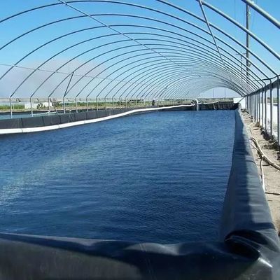 Geomembrana de HDPE para el revestimiento de estanques impermeable de 0,5 mm 1 mm 1,5 mm 2 mm