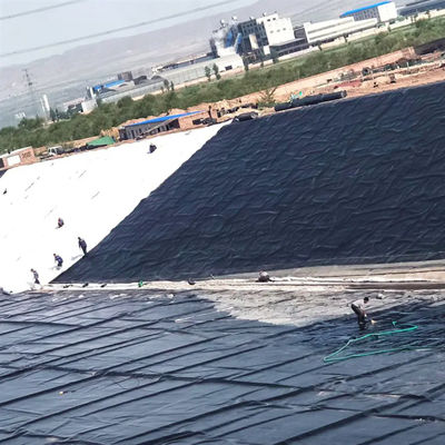 Geomembrana de HDPE doble lisa para piscifactoría y acuicultura