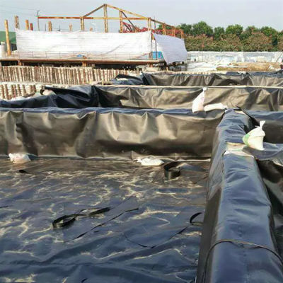 Geomembrana de HDPE doble lisa para piscifactoría y acuicultura