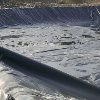 Geomembrana de HDPE doble lisa para piscifactoría y acuicultura