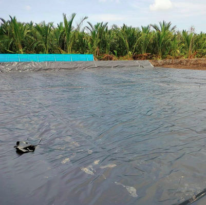 espesor 0,2 mm-3 mm 0,5 mm Geomembrana de HDPE para acuario de peces y forro de estanque de piscifactoría
