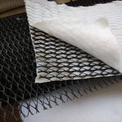 Mesh HDPE 3D de drenaje compuesto compuesto Geo Net Geonet para embalses longitud 100m