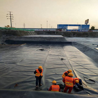 ASTM GM13 Estándar HDPE Geomembrane Liner 0,3 mm 0,5 mm 0,75 mm 1 mm para los mercados nacionales