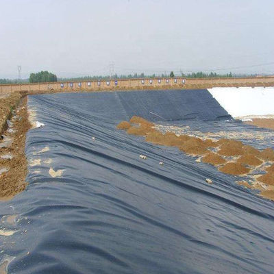 ASTM GM13 Estándar HDPE Geomembrane Liner 0,3 mm 0,5 mm 0,75 mm 1 mm para los mercados nacionales