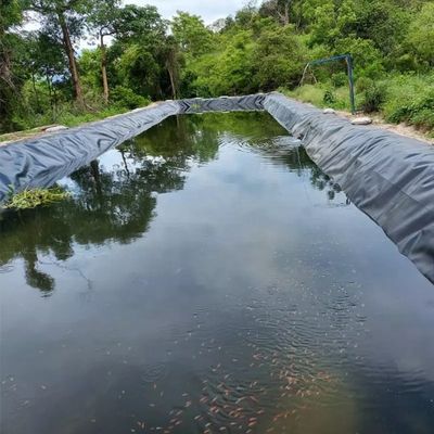 Geomembranas 1 mm 2 mm Impermeable de tanque Revestimiento de presa Piscinas Piscinas de pescado estanques de granja Revestimiento HDPE