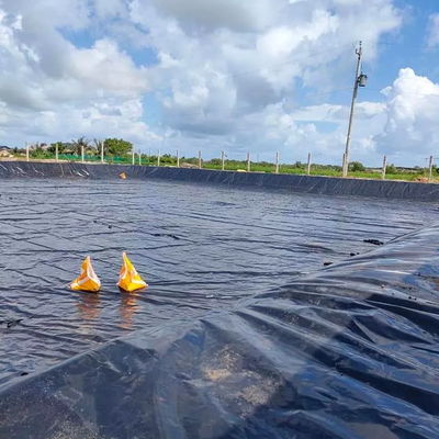 Geomembranas 1 mm 2 mm Impermeable de tanque Revestimiento de presa Piscinas Piscinas de pescado estanques de granja Revestimiento HDPE