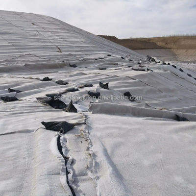 Pago T/T 3D de drenaje compuesto Geonet para drenaje en la construcción de edificios de oficinas