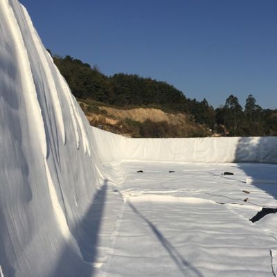 50m/100m Larga malla HDPE 3D de drenaje compuesto compuesto geo red en blanco negro