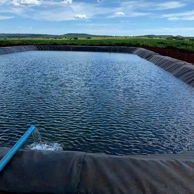 1Geomembrana de HDPE de 0,0 mm para estanques de pescado Ancho 1-6m Geomembrana negra resistente a productos químicos