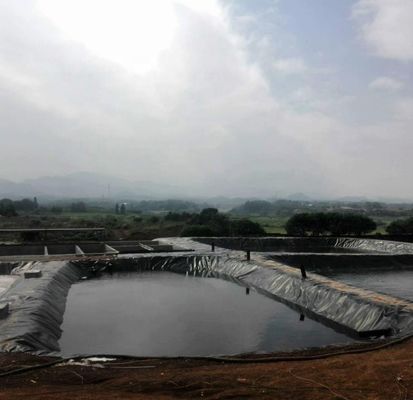 1Geomembrana de HDPE de 0,0 mm para estanques de pescado Ancho 1-6m Geomembrana negra resistente a productos químicos