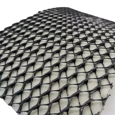 Desagüe de aguas pluviales 3d Red de drenaje geocompuesta de plástico para túneles o represas industriales