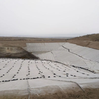 HDPE 3D de drenaje de barrera de sal Geonet red geocompuesta para drenaje de jardines de carreteras de vertederos