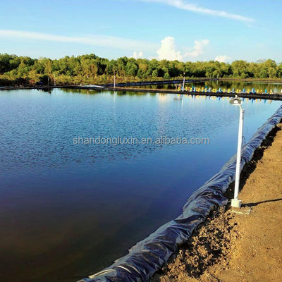 ASTM GRI-GM13 Estándar de revestimiento en HDPE para estanques de peces y tanques de granjas espesor 0,3 mm-1 mm