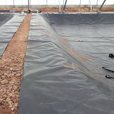 Geomembrana de HDPE en negro, blanco, azul o verde longitud 50-200 m