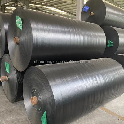 Rollo de láminas de lonas de PE de 50 a 300 gramos con alta resistencia a la tracción y resistencia al desgarro