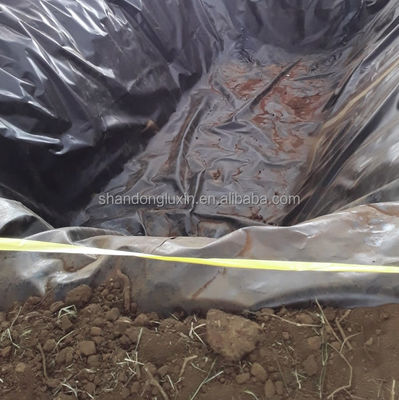 Hoja de geomembrana de plástico de doble hidrógeno liso HDPE impermeable para acuicultura