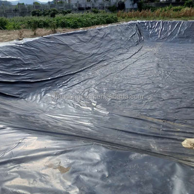Hoja de geomembrana de plástico de doble hidrógeno liso HDPE impermeable para acuicultura