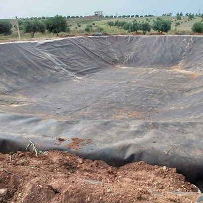 Material impermeable HDPE Geomembrana de piscifactoría Negro Azul Verde Color para comedor