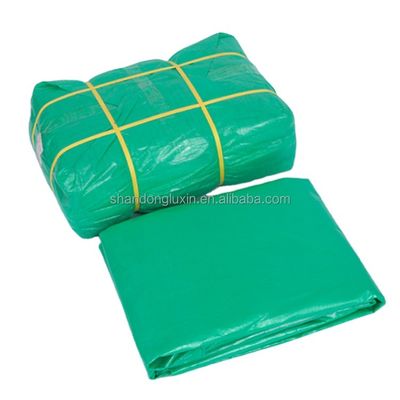 Camión/coche/barco Cubiertas profesionales de lonas de PE Tarpaulin Poly Tarps Hoja con tratamiento de superficie
