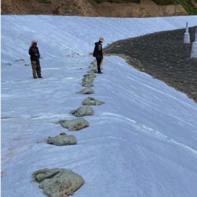 Geonet de drenaje tridimensional compuesto ecológico de 8 mm de espesor para túneles