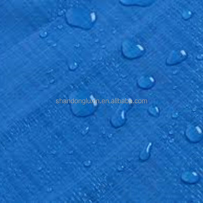 Hoja de alfombras de alfombras poliesféricas de PE profesional impermeable para los requisitos del cliente