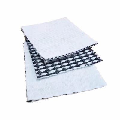 Solución total para proyectos de 6 mm de espesor pasta geotextil de drenaje compuesto Geonet