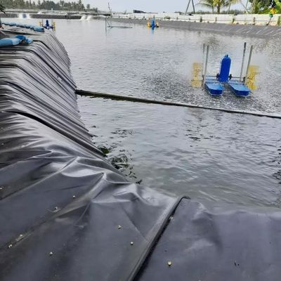 0Geomembrana de HDPE negro de.5 mm para piscicultura duradera y respetuosa con el medio ambiente