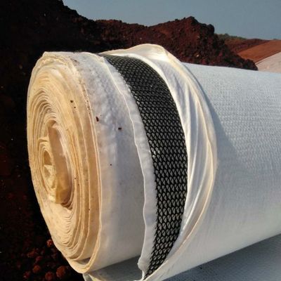 Función de drenaje de agua Geonet de drenaje de plástico de 6 mm de grosor en el centro de Geonet compuesto