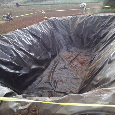 Geomembranas HDPE Anti-UV Liner de estanque 0,5 mm 1,0 mm 1,2 mm 2 mm para la protección de estanques de piscifactorías