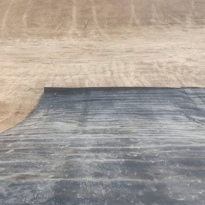 Liner de geomembrana de HDPE para estanques de piscifactorías 0,5 mm 1,0 mm 1,2 mm 2 mm e inspección in situ