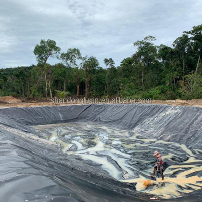 La granja de peces estanque de revestimiento de geomembrana HDPE 1 mm 1.5 mm 2 mm con y estilo de diseño industrial