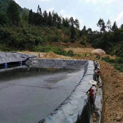 Granja de pescado Liner de estanque HDPE Geomembrana longitud 50-200m Negro Blanco Azul Verde personalizado