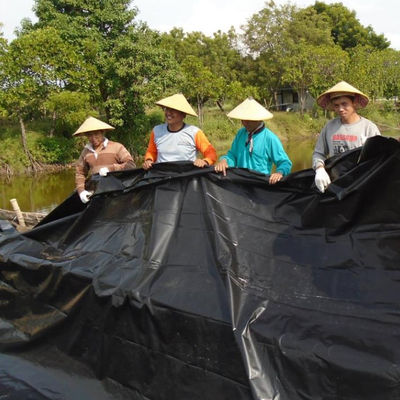 Proyectos de Solución Total 0,5 mm HDPE Geomembrana Negra de textura lisa y limpieza de estanques de granjas de peces
