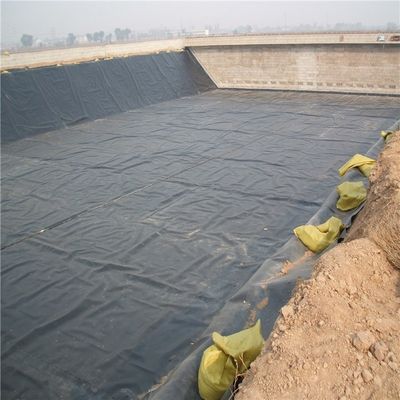 Geomembrana HDPE para estanques de peces de plástico suave con diseño industrial
