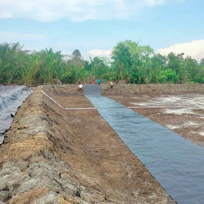 Fácil de instalar 2 mm HDPE Geomembrane Liner para comer en el estanque de cultivo de camarón de pescado