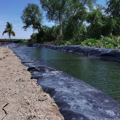 Fácil de instalar 2 mm HDPE Geomembrane Liner para comer en el estanque de cultivo de camarón de pescado