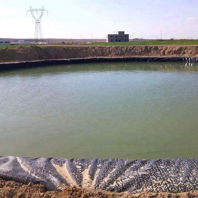 Fácil de instalar 2 mm HDPE Geomembrane Liner para comer en el estanque de cultivo de camarón de pescado