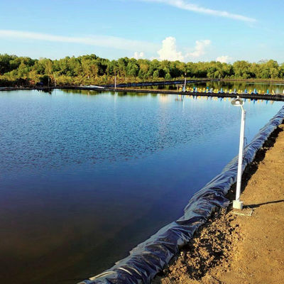 Fácil de instalar 2 mm HDPE Geomembrane Liner para comer en el estanque de cultivo de camarón de pescado